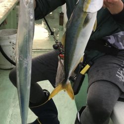 渋いの中でも青物&太刀魚!